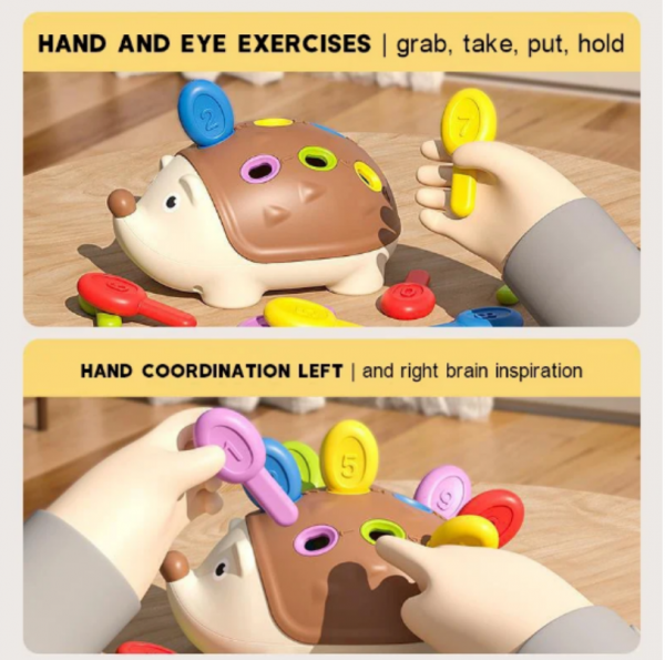 Hedgehog Learning & Montessori Educational Toy | Sensory Toys Gifts for 1 2 3 Year Old Boys Girls Babys Kids - Image 3