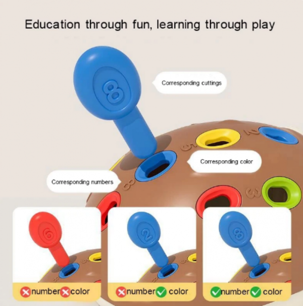 Hedgehog Learning & Montessori Educational Toy | Sensory Toys Gifts for 1 2 3 Year Old Boys Girls Babys Kids - Image 4