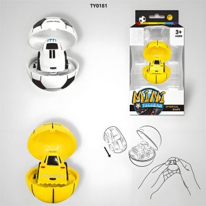 Mini RC Car
