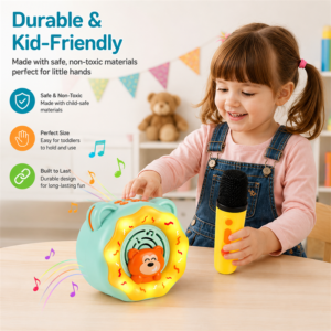 Kids Microphone Toy